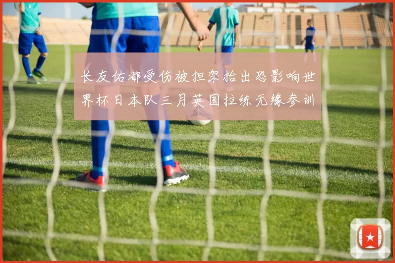长友佑都受伤被担架抬出恐影响世界杯日本队三月英国拉练无缘参训