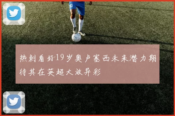 热刺看好19岁奥卢塞西未来潜力期待其在英超大放异彩